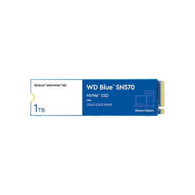 WD 1TB Blue SN570 M.2 PCIe M.2 2280 WDS100T3B0C